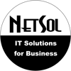 NetSol Co., Ltd. Logo