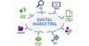 Digital Marketing Agency Auckland - Zibdigital Logo