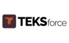 TEKSforce Logo