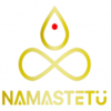 Namastetu Technologies Pvt. Ltd. Logo