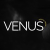Venus Digital Media Logo