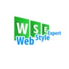 Web Style Expert Logo