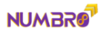 Numbro Consulting Private Limited Logo