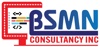 Bsmnconsultancy Logo