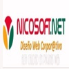 NICOSOFT.NET Logo