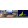 Delta Environmental Consulting Logo