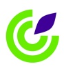 Color Consulting Inc. Logo