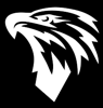 SkyHawksFusion Logo