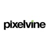 Pixelvine Creative Logo
