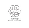 Synergy Business Consulting Logo