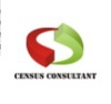 Census Consultant Logo