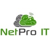 NetPro IT Logo