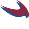 Robb Leonard Mulvihill Logo