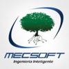 Mecsoft de Costa Rica Logo
