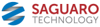 Saguaro Technology Logo