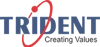 Trident Information Systems Pvt. Ltd. Logo