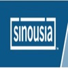 Sinousia  | Catrice Antonette Monson Logo