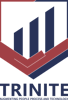 Trinite Consulting Group LLC Logo