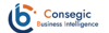 Consegic Business Intelligence Pvt Ltd Logo