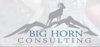 Big Horn Consulting, LLC Logo