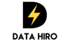 Data Hiro Logo
