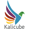 Kalicube Logo