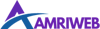 AMRIWEB - Digital Marketing Agency & Social Media Management Logo