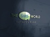 The Sms World  - Best Digital Marketing Company in Chandigarh Logo