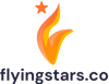 Flying Stars Informatics Logo