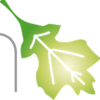 Hawthorne Media Logo