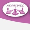 Seprosel S.A. De C.V. Logo