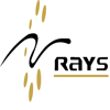 Rays TechServ Logo