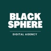 Black Sphere Solutions Logo