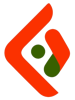 SEO AGENCY IT Logo