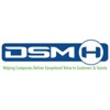 DSM-H Consulting Logo