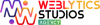 Weblytics Studios Logo