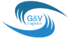 G&V Logistics Logo