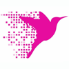 Online Birds Logo