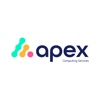 Apex Computing Services Ltd Logo
