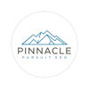 Pinnacle Pursuit SEO Logo