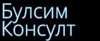 BULSIM CONSULT EOOD Logo