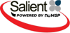 Salient IT Logo
