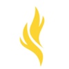 Ignite B2B Growth Logo