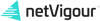 netVigour Logo