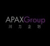 APAX Group Logo