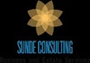 Sunde Consulting & Accounting LLC Logo