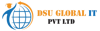 DSU Global It Pvt Ltd Logo