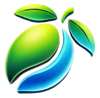 BluMango Logo