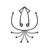 Curious Squid, LLC Logo