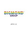 BIGMOND GROUP Logo